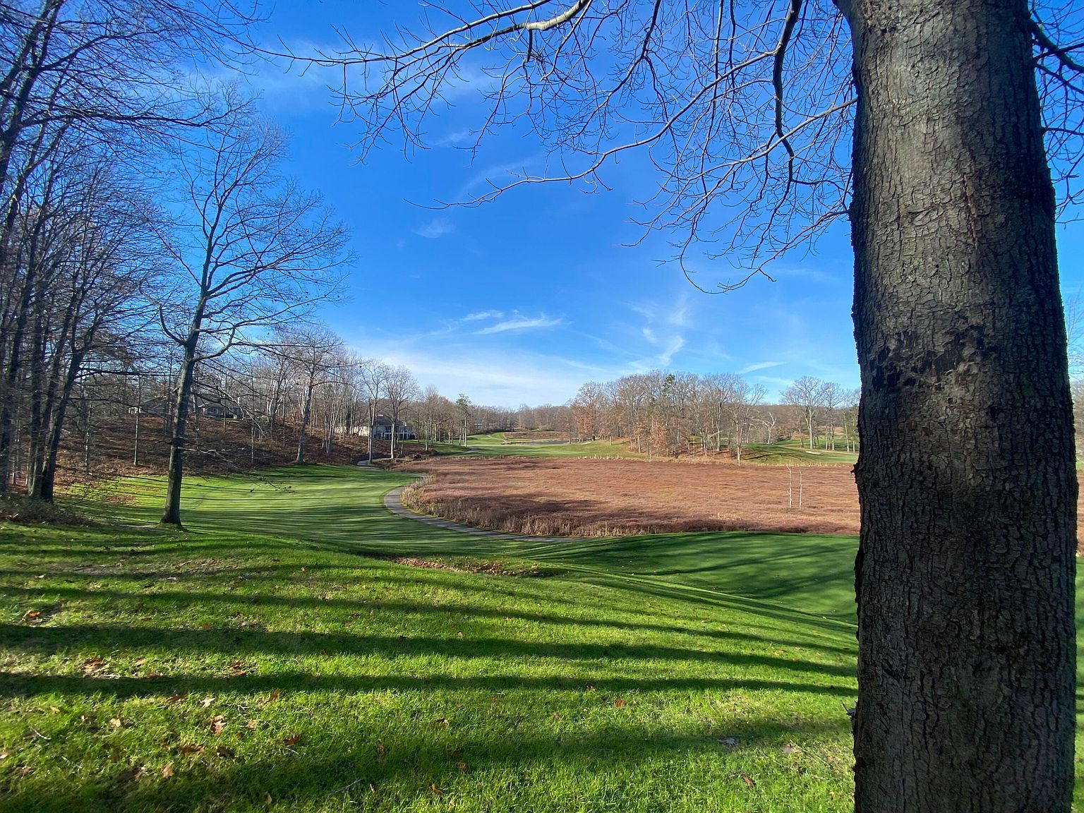 8975 Whispering Ln #234-235 Stanwood, MI 49346 - Thumbnail 5