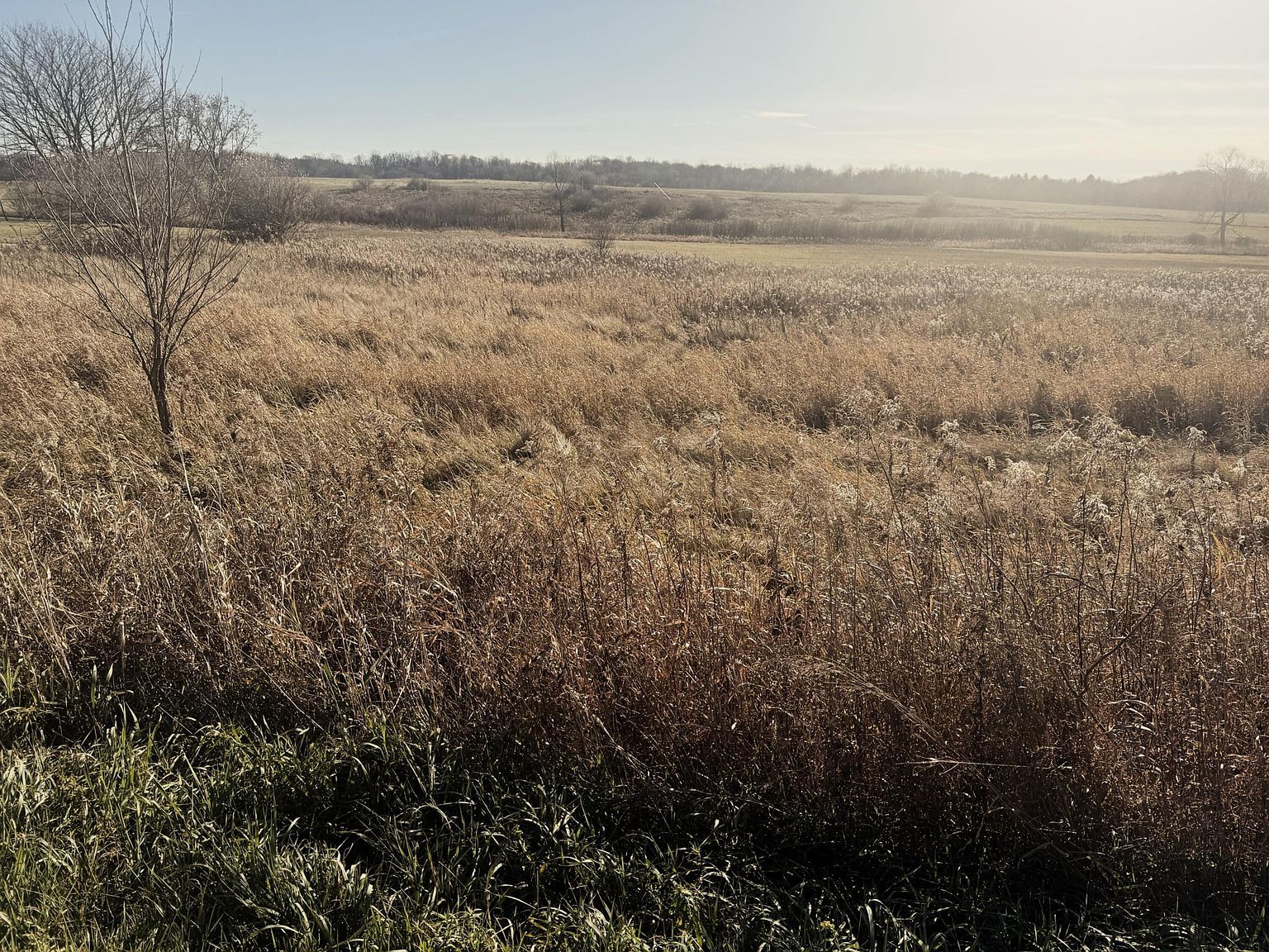 18 Mile Rd Big Rapids, MI 49307 - Thumbnail 5