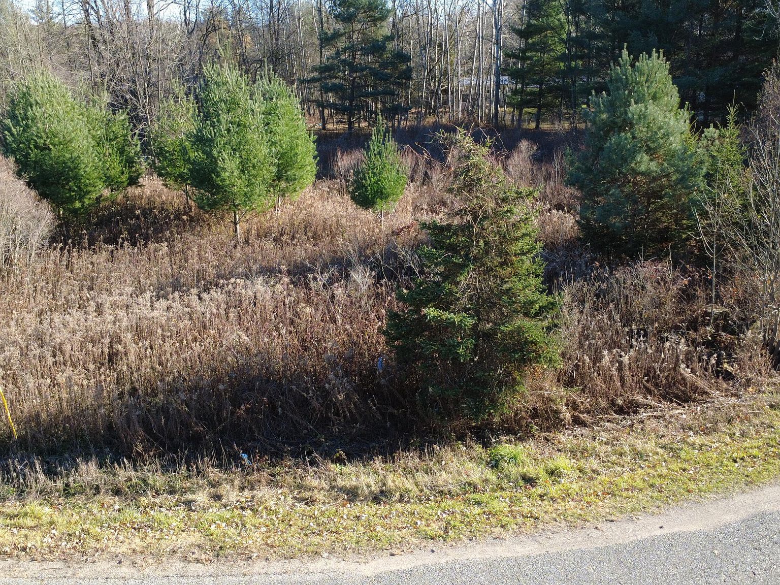 Edgewood Dr Big Rapids, MI 49307 - Thumbnail 5