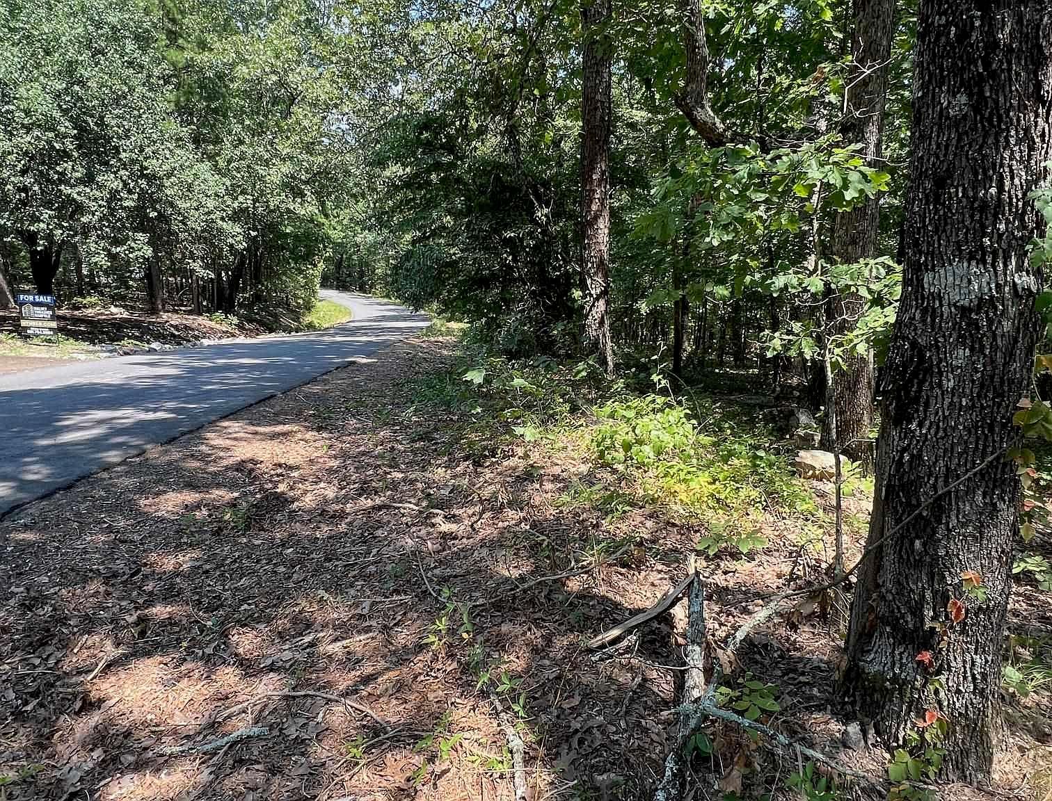 Murcia Way Hot Springs Village, AR 71909 - Thumbnail 5