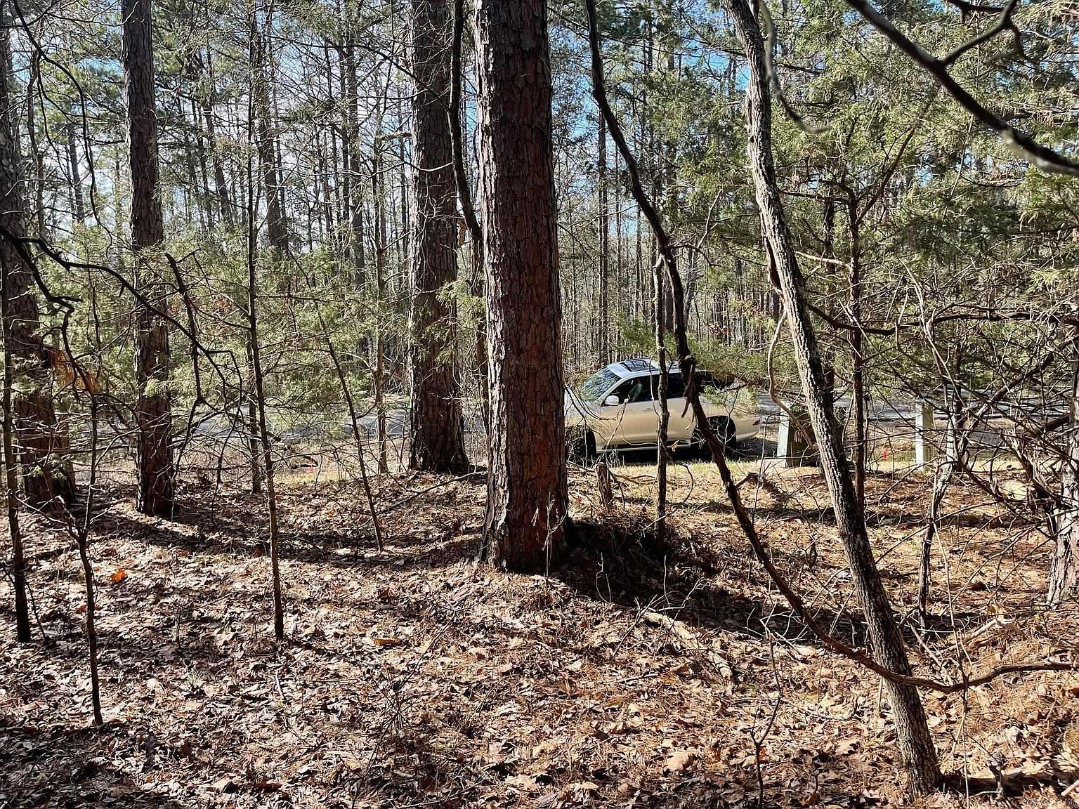 152 Mountain Ranch Dr Fairfield Bay, AR 72088 - Thumbnail 5