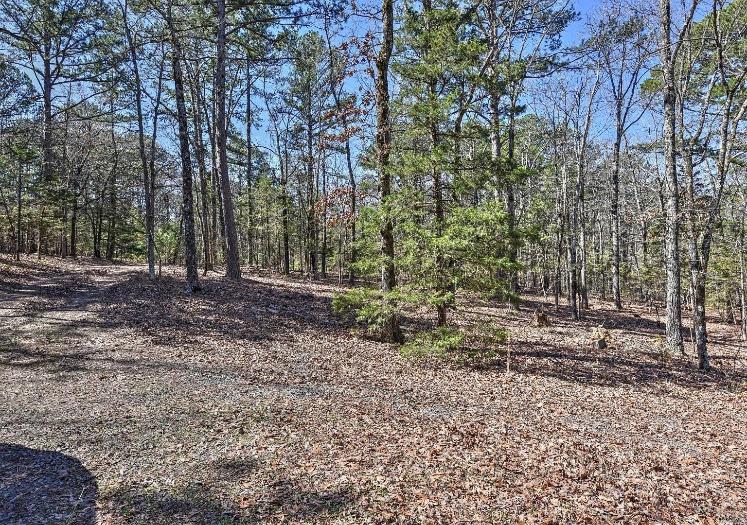 226 Lakeview Dr Fairfield Bay, AR 72088 - Thumbnail 5