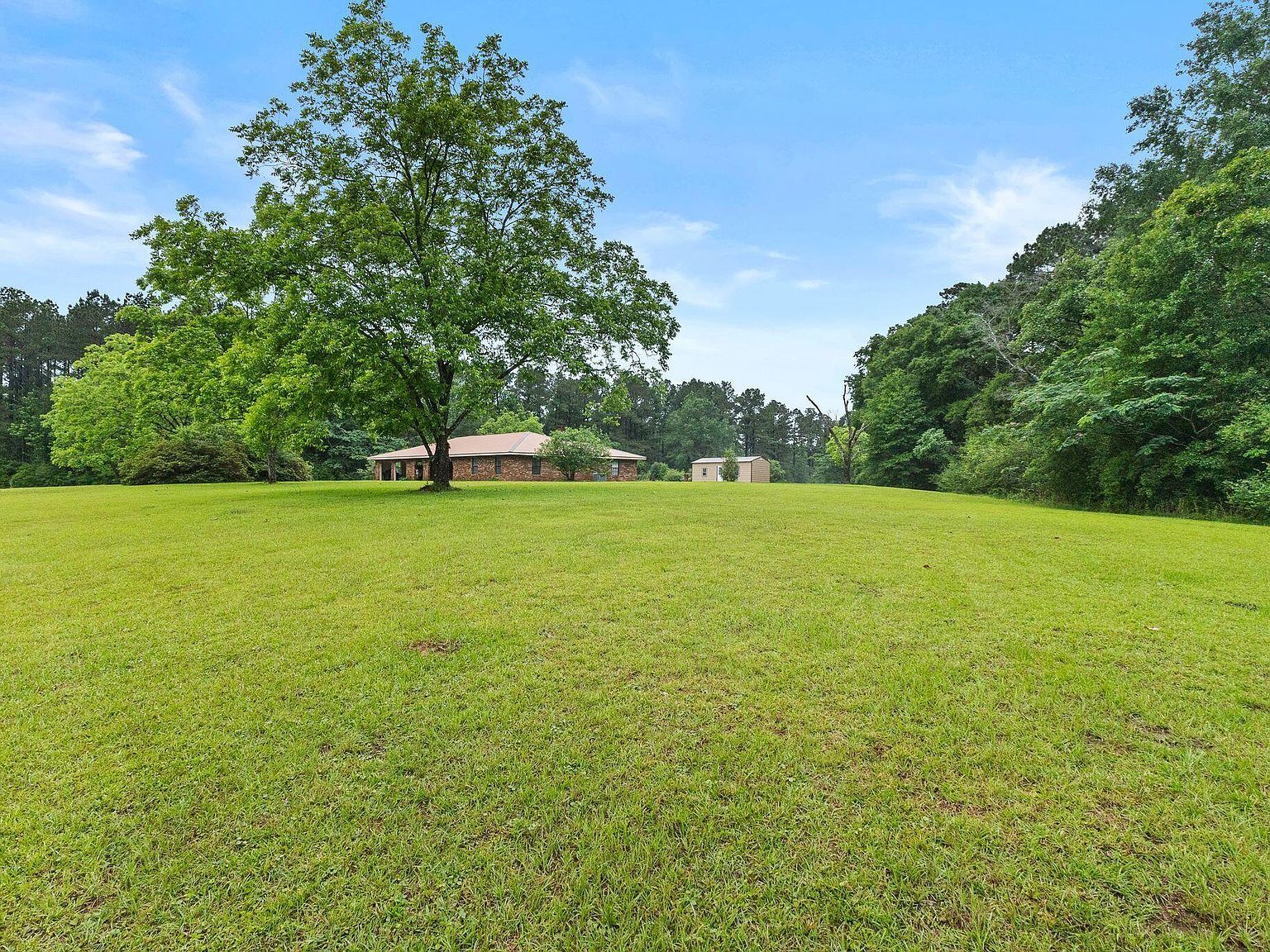 731 New Hope Kokomo Rd Foxworth, MS 39483 - Thumbnail 5