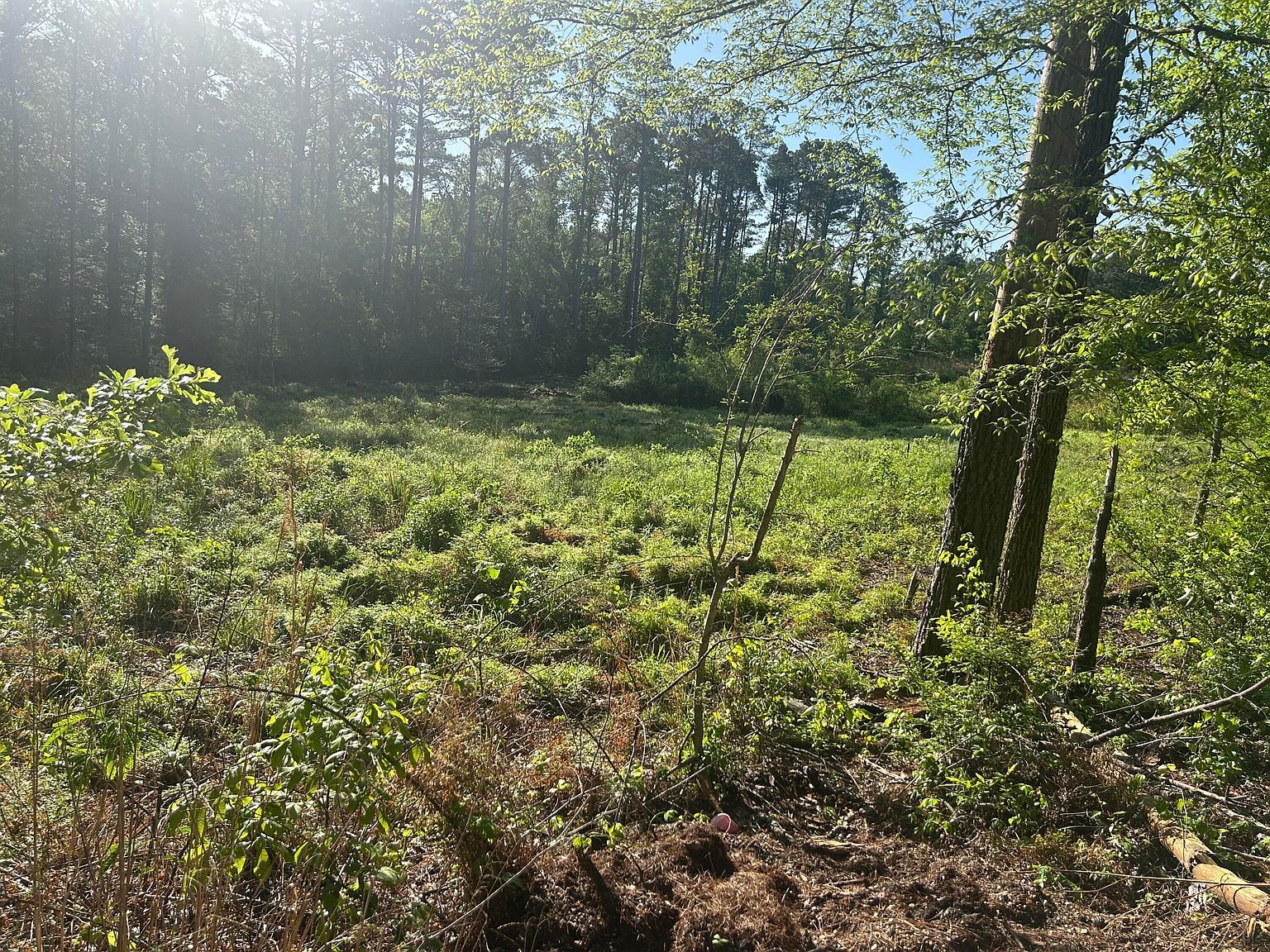 3101 Old Amy Rd Laurel, MS 39443 - Thumbnail 5