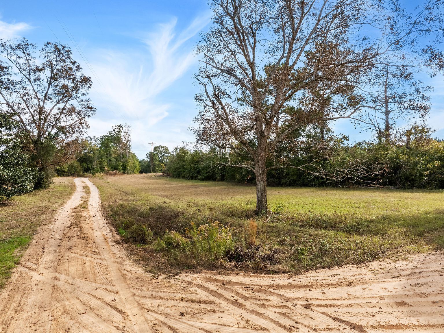 1565 Shubuta Eucutta Rd Shubuta, MS 39360 - Thumbnail 5