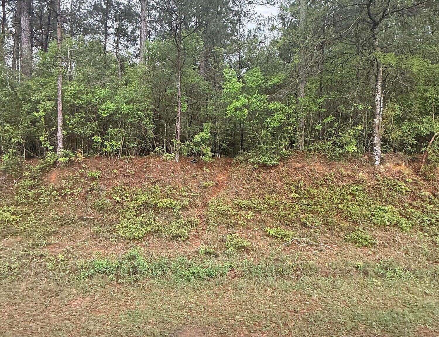 0 Rainey Rd Moselle, MS 39459 - Thumbnail 5