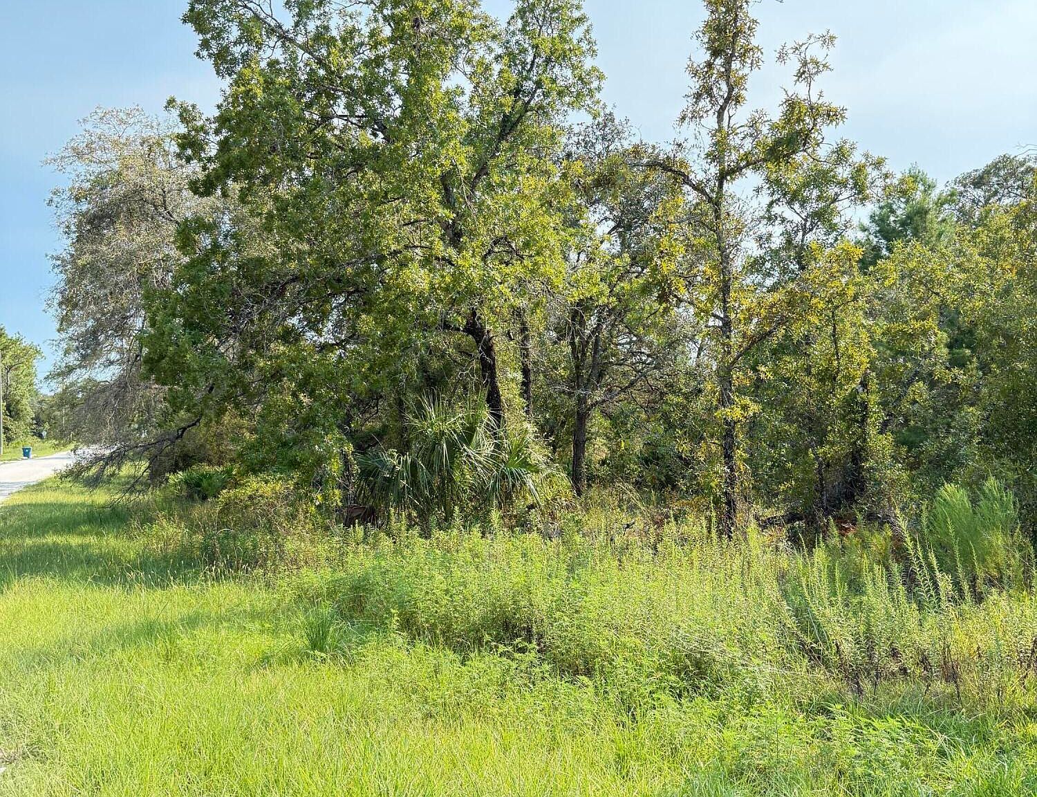 0 Marsh Wren Ave Brooksville, FL 34614 - Thumbnail 5