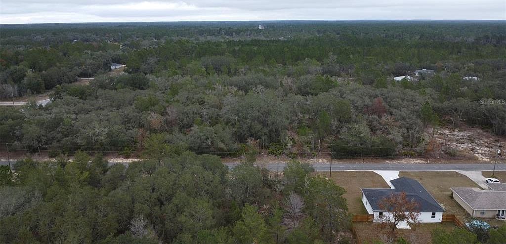 Malauka Dr LOT 11 Ocklawaha, FL 32179 - Thumbnail 5