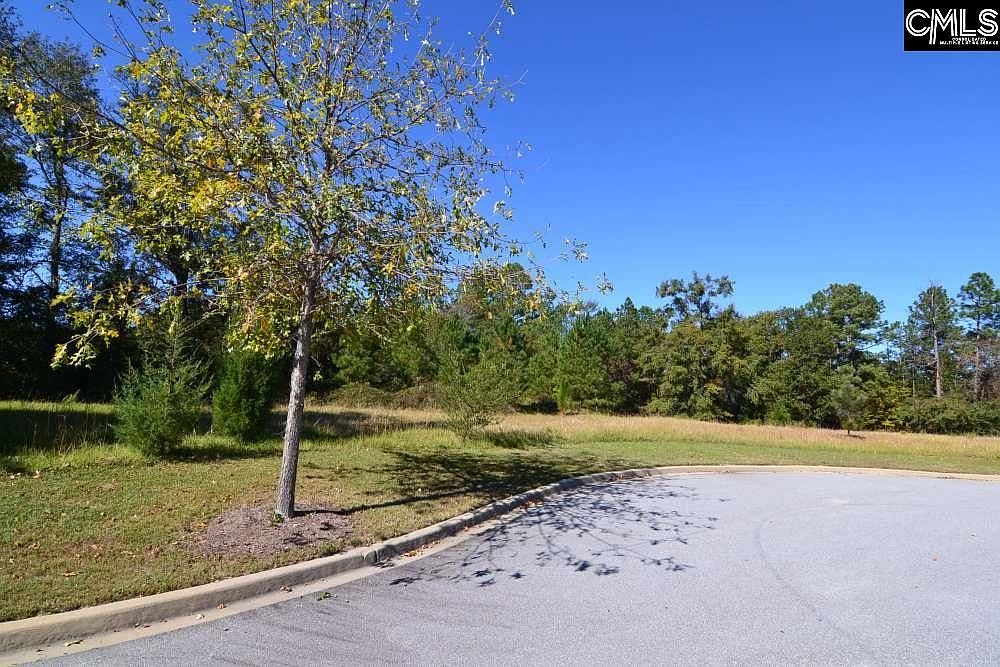 15 Blythe View Ct #9 Blythewood, SC 29016 - Thumbnail 5