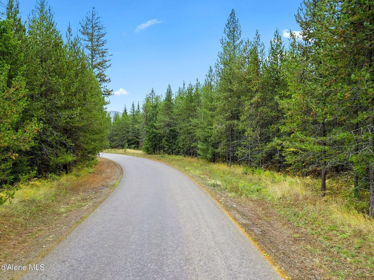 Nna Deeter Dr LOT 2 Priest River, ID 83856 - Thumbnail 5