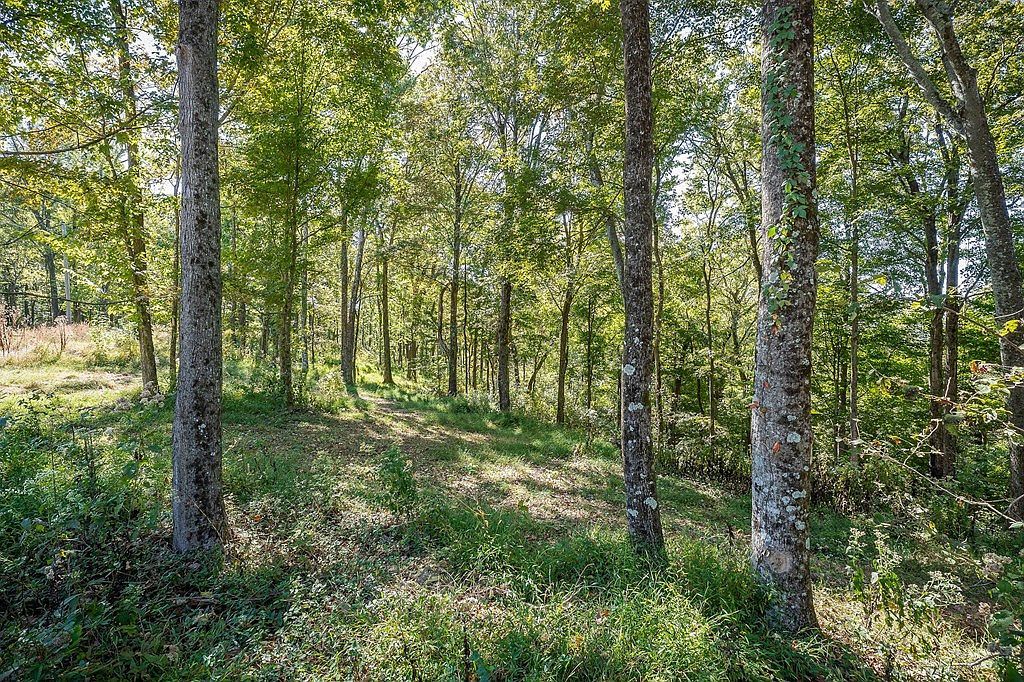 0 Back Ranch Dr Silver Pt, TN 38582 - Thumbnail 5