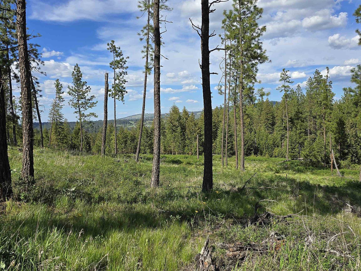 22XX E Miller Rd Spangle, WA 99031 - Thumbnail 5