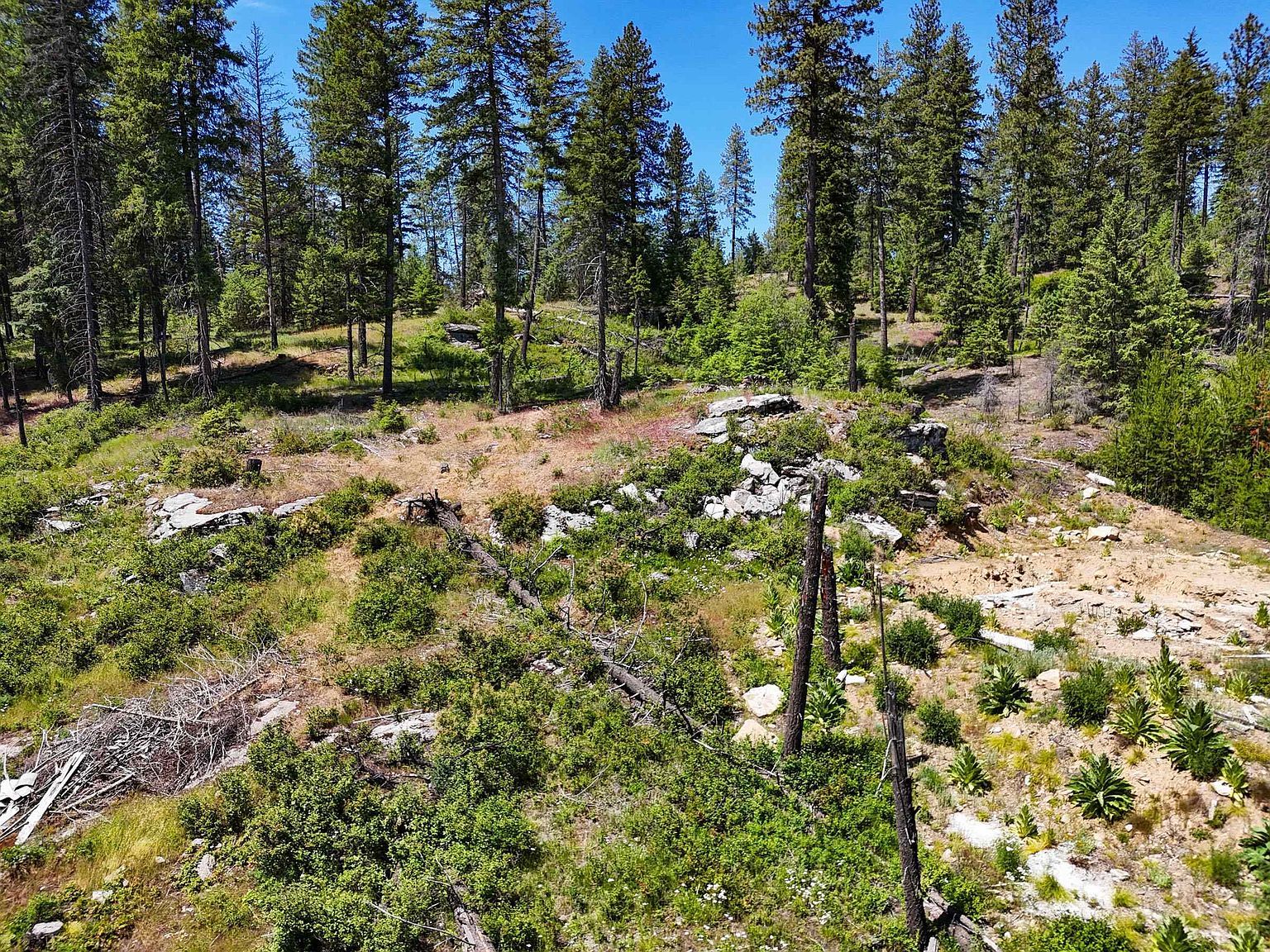 54XX Northshore Diamond Lake Rd Newport, WA 99156 - Thumbnail 5