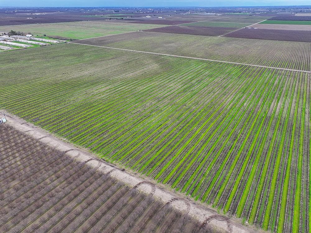 0 S Plumas Ave Kerman, CA 93630 - Thumbnail 5