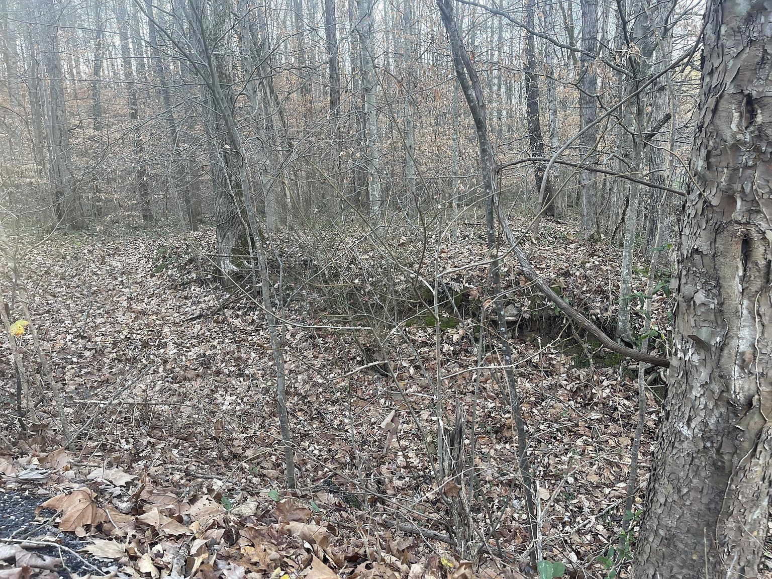 16 Autumn Trl Dover, TN 37058 - Thumbnail 5