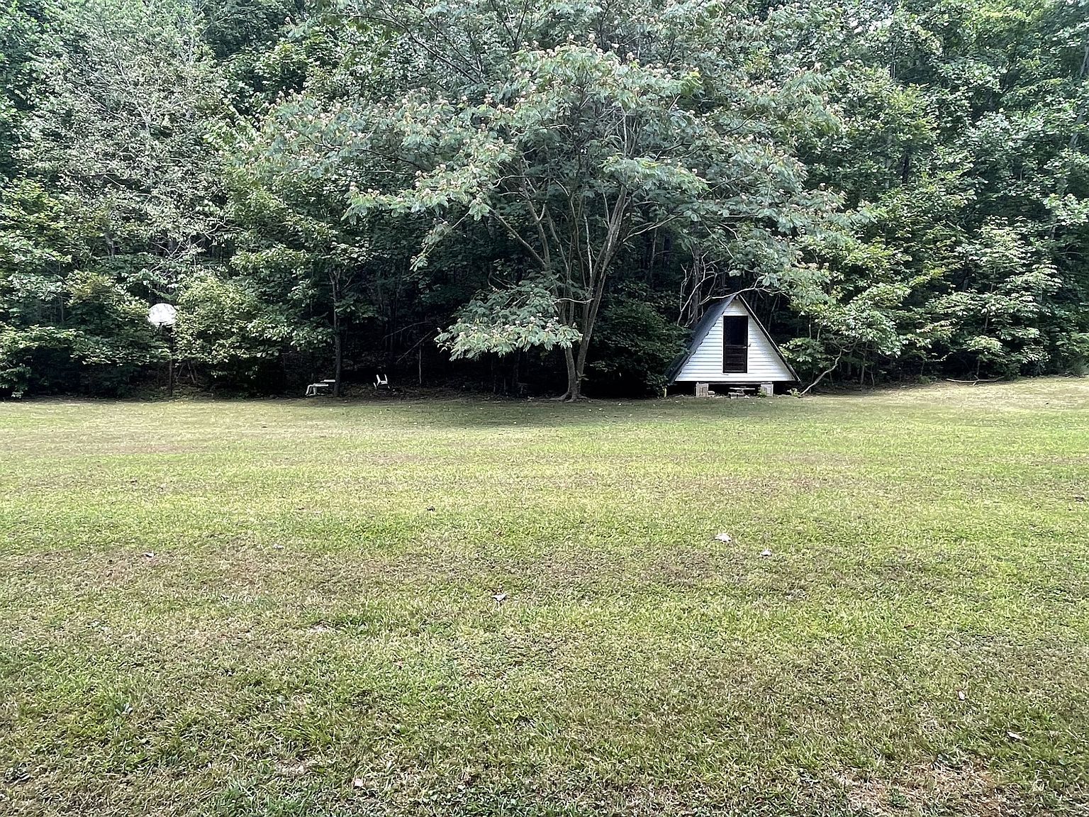 123 Limekiln Rd Erin, TN 37061 - Thumbnail 5