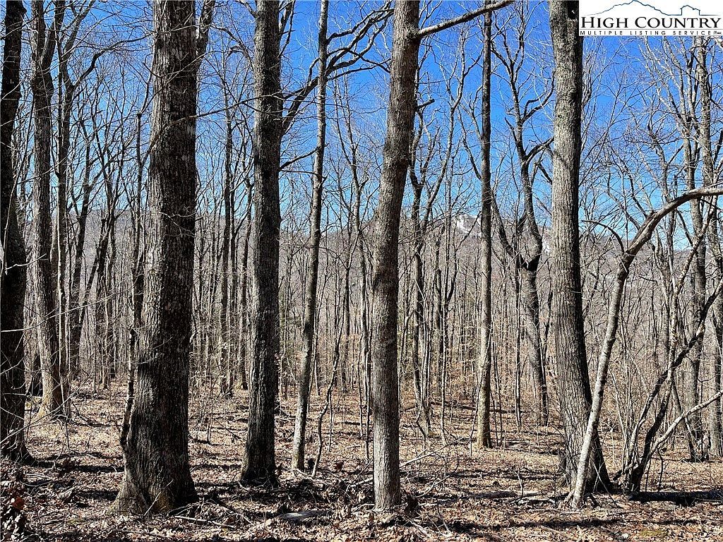 LOT Tyneridge Rd #B Banner Elk, NC 28604 - Thumbnail 5