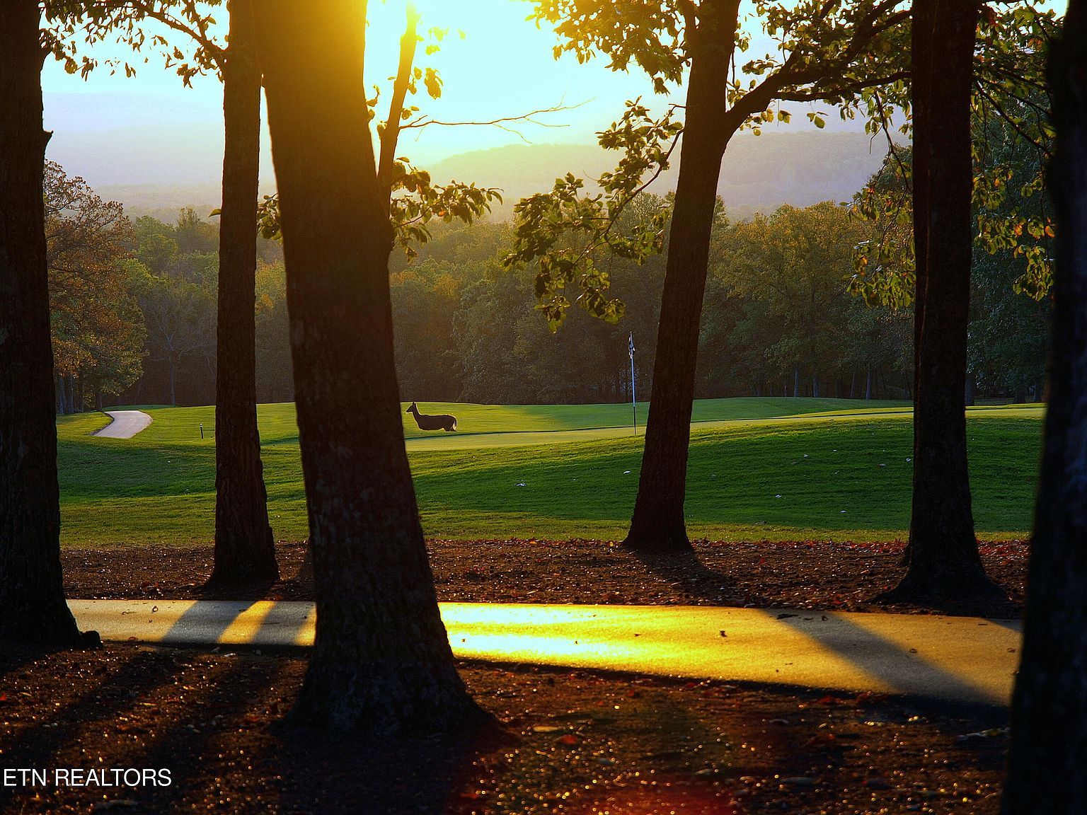 127 Juniper Dr Crossville, TN 38558 - Thumbnail 5