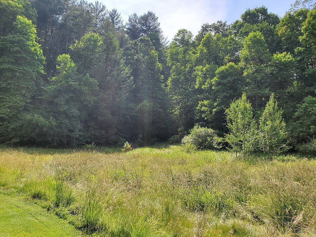 1418 Dempsey Rd Fayetteville, WV 25840 - Thumbnail 5