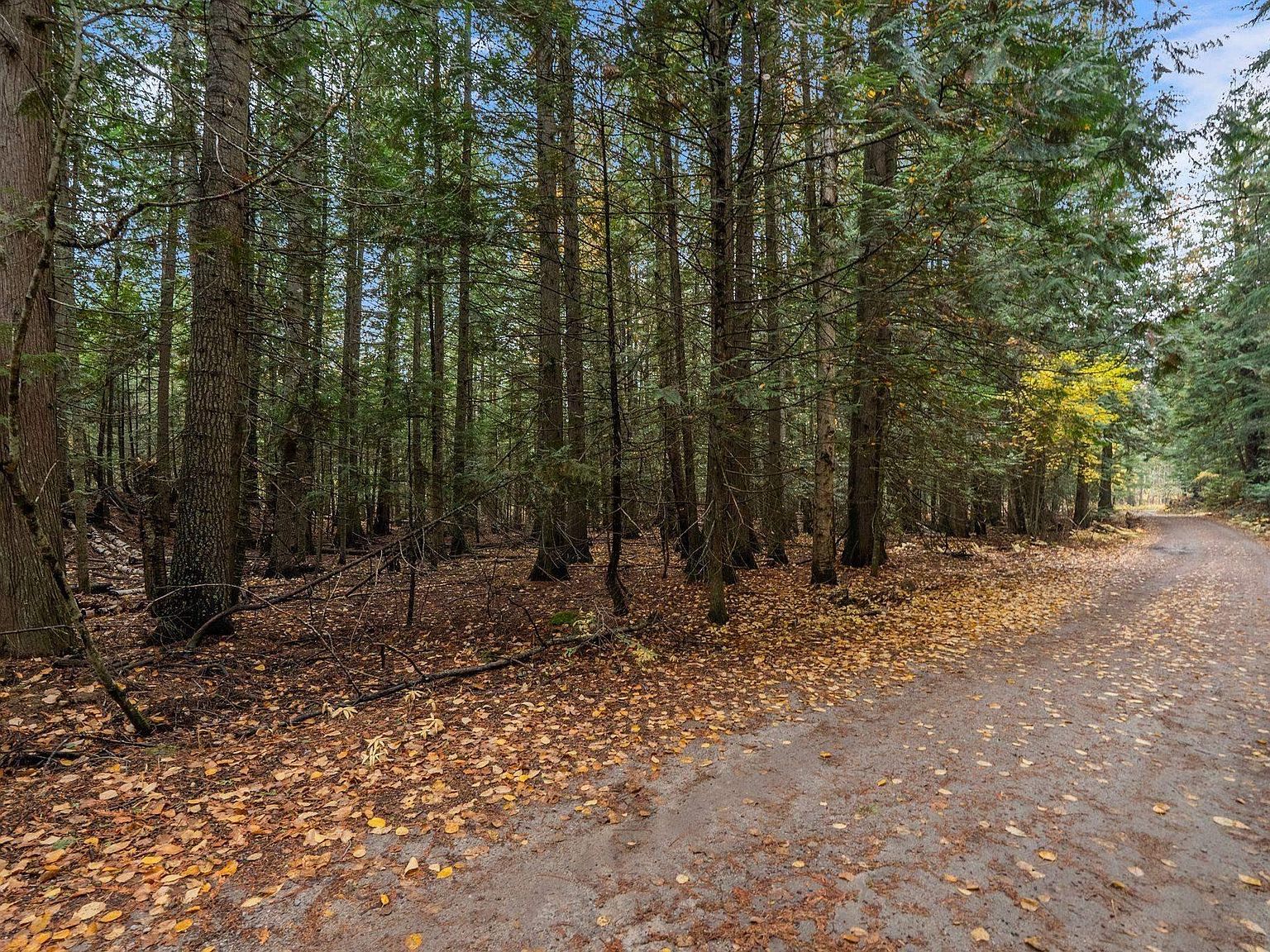 Nna Rogers Rd, Sandpoint, ID, 83864 - Thumbnail 5