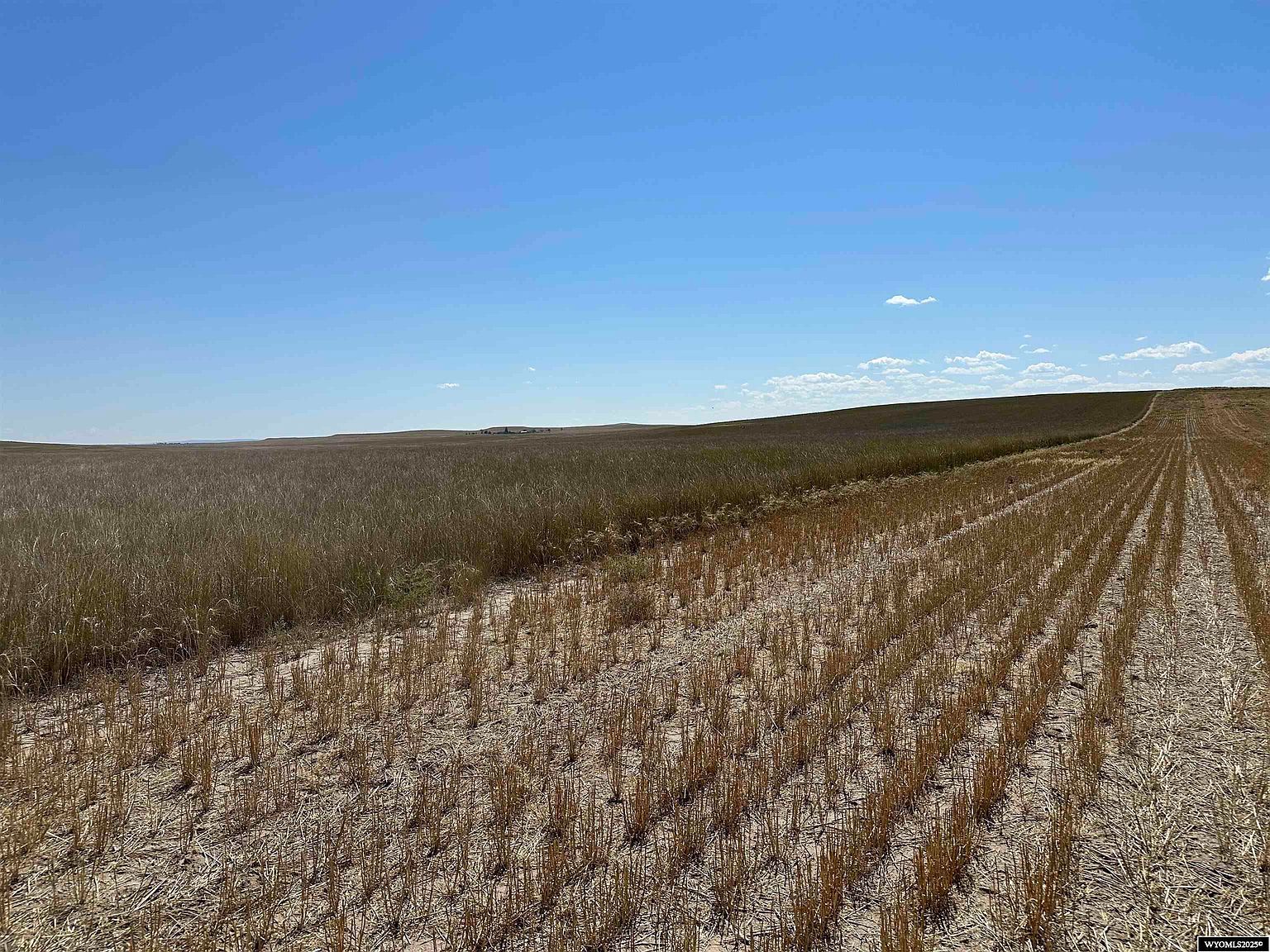 Road 19 Yoder, WY 82244 - Thumbnail 5