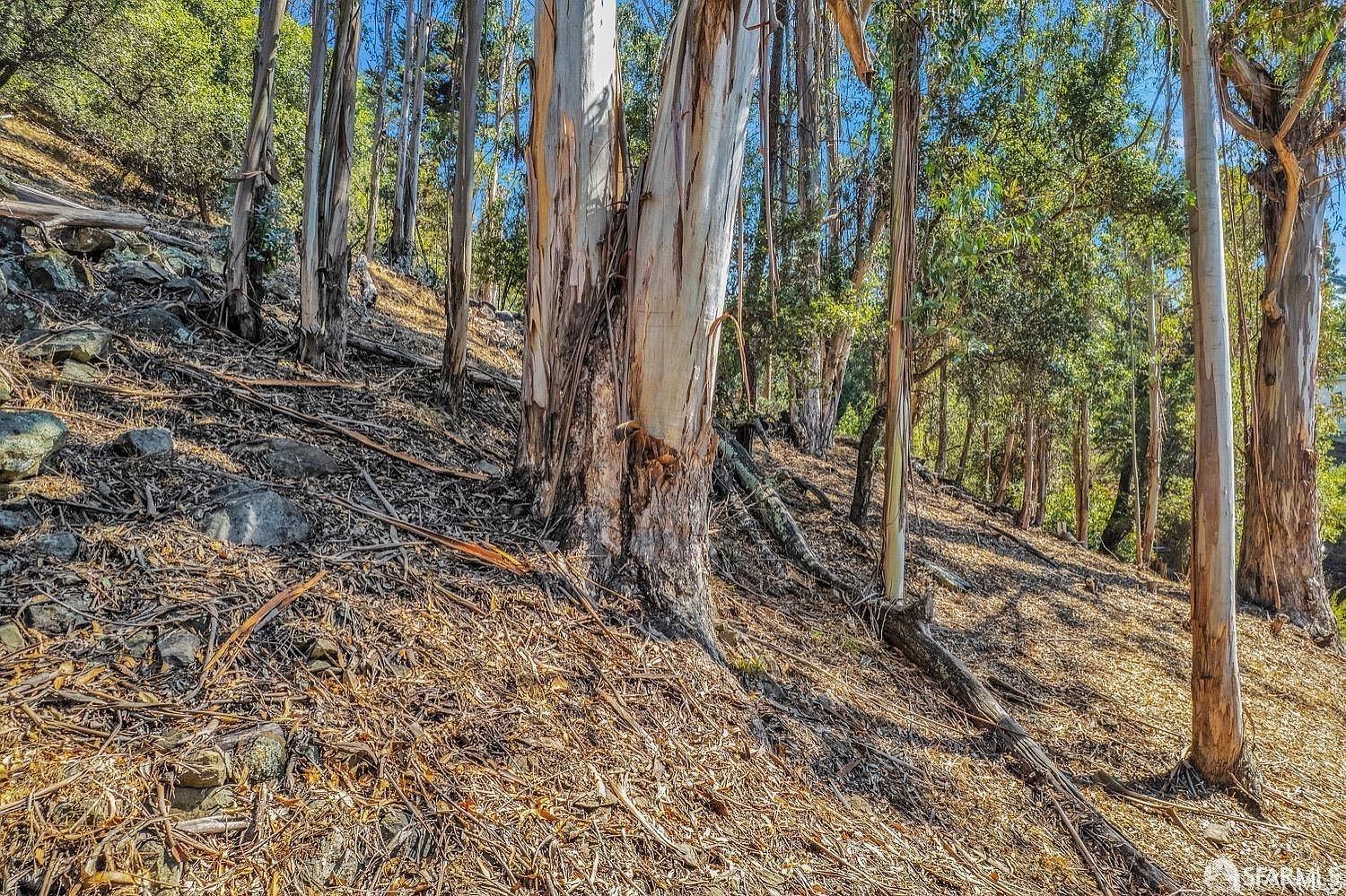 2 Ascot Ct Oakland, CA 94611 - Thumbnail 5