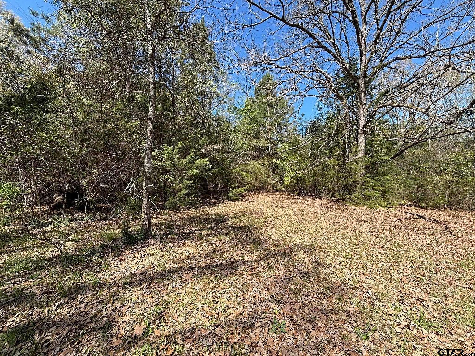 0 County Road 341 Tyler, TX 75706 - Thumbnail 5