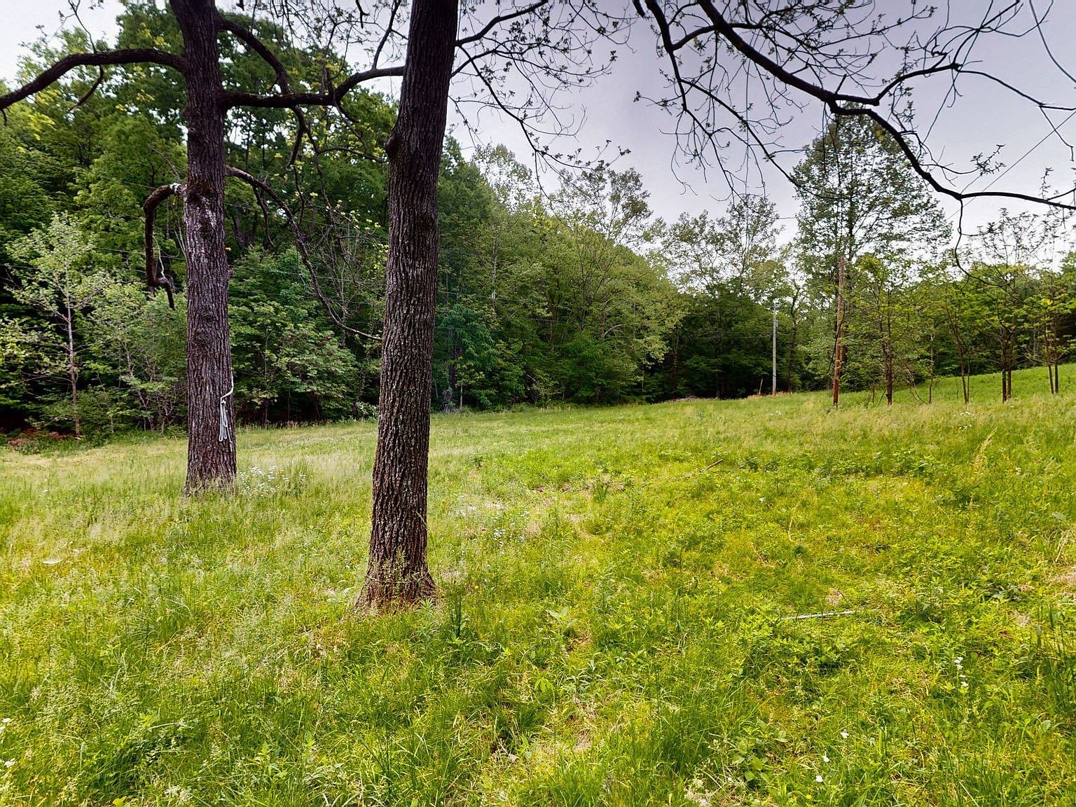 2100 Highway 13, Erin, TN, 37061 - Thumbnail 5