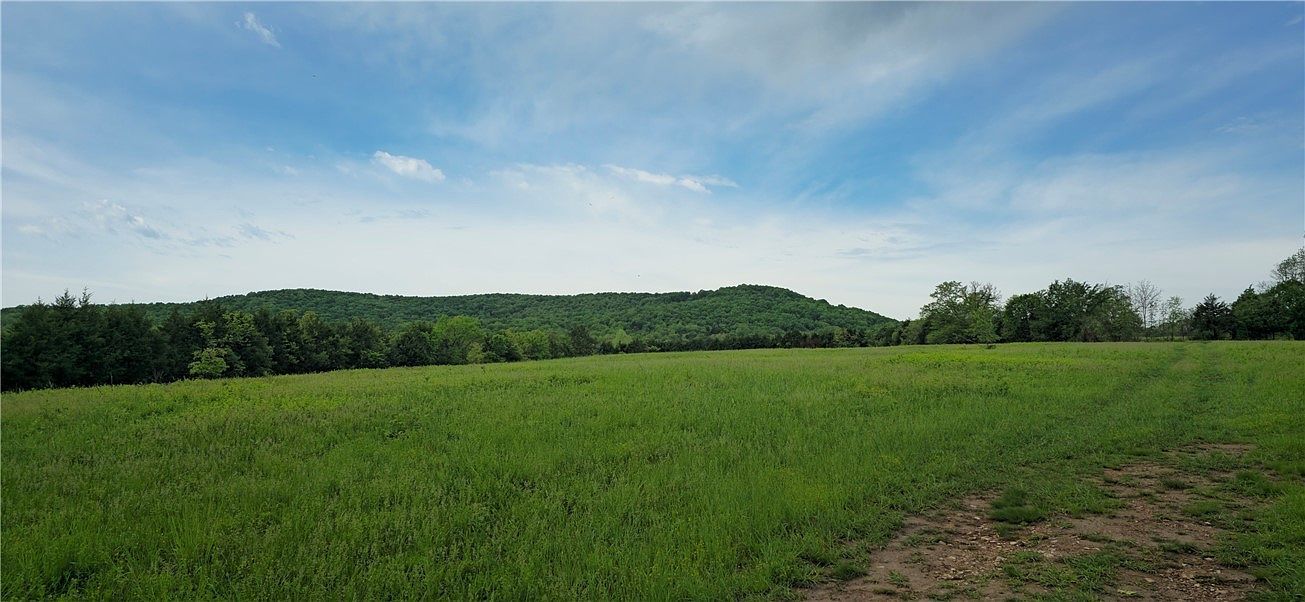 13258 Dubuque Rd Omaha, AR 72662 - Thumbnail 5