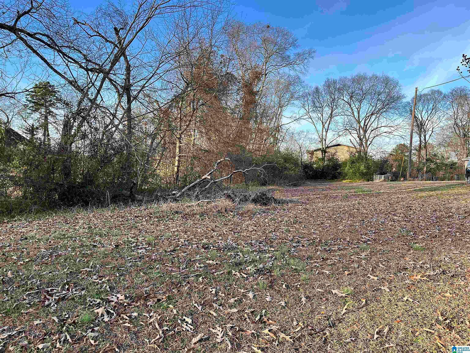 107 Dabbs Ave #107 Bessemer, AL 35023 - Thumbnail 5