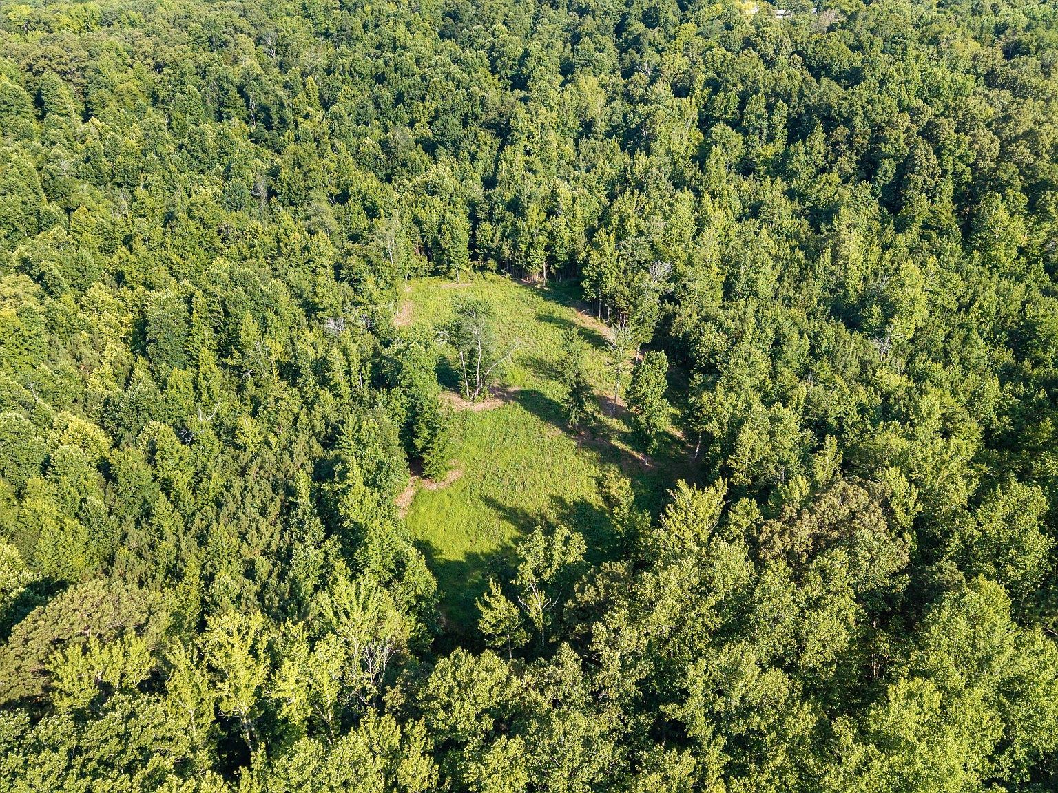 0 Hamilton Rd Springville, TN 38256 - Thumbnail 5