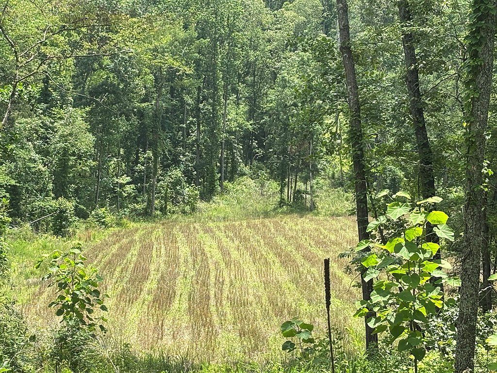 0 Hamilton Rd #1 Springville, TN 38256 - Thumbnail 5