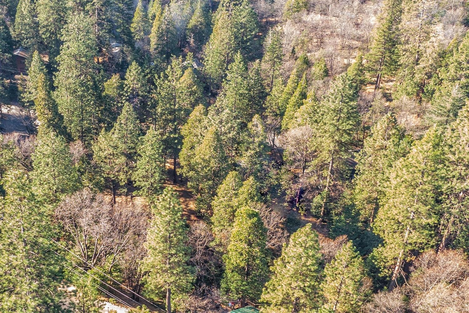 24184 Awahanee Rd Sonora, CA 95370 - Thumbnail 5