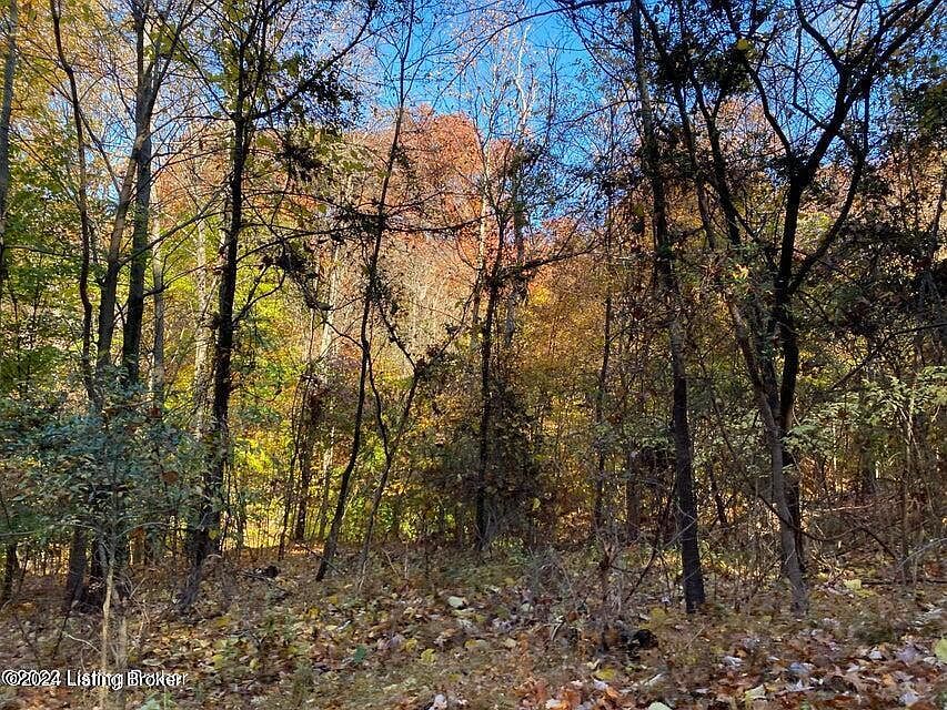 41-4 E Audubon Dr Shepherdsville, KY 40165 - Thumbnail 5