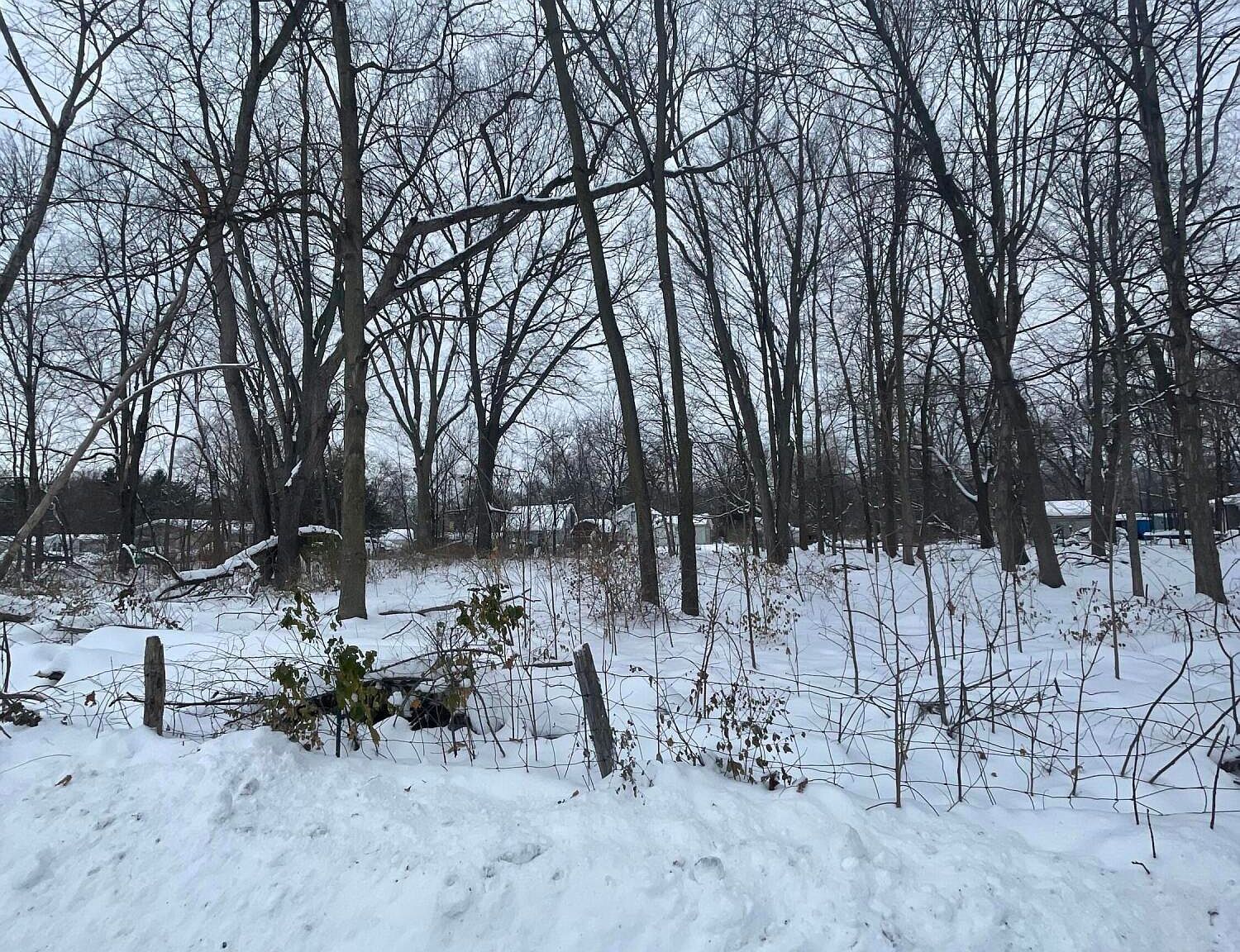 V/l 13th And Cypress Ct Three Rivers, MI 49093 - Thumbnail 5