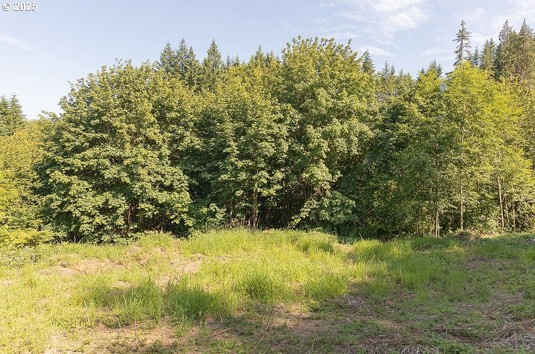 (undisclosed Address) Rainier, OR 97048 - Thumbnail 5