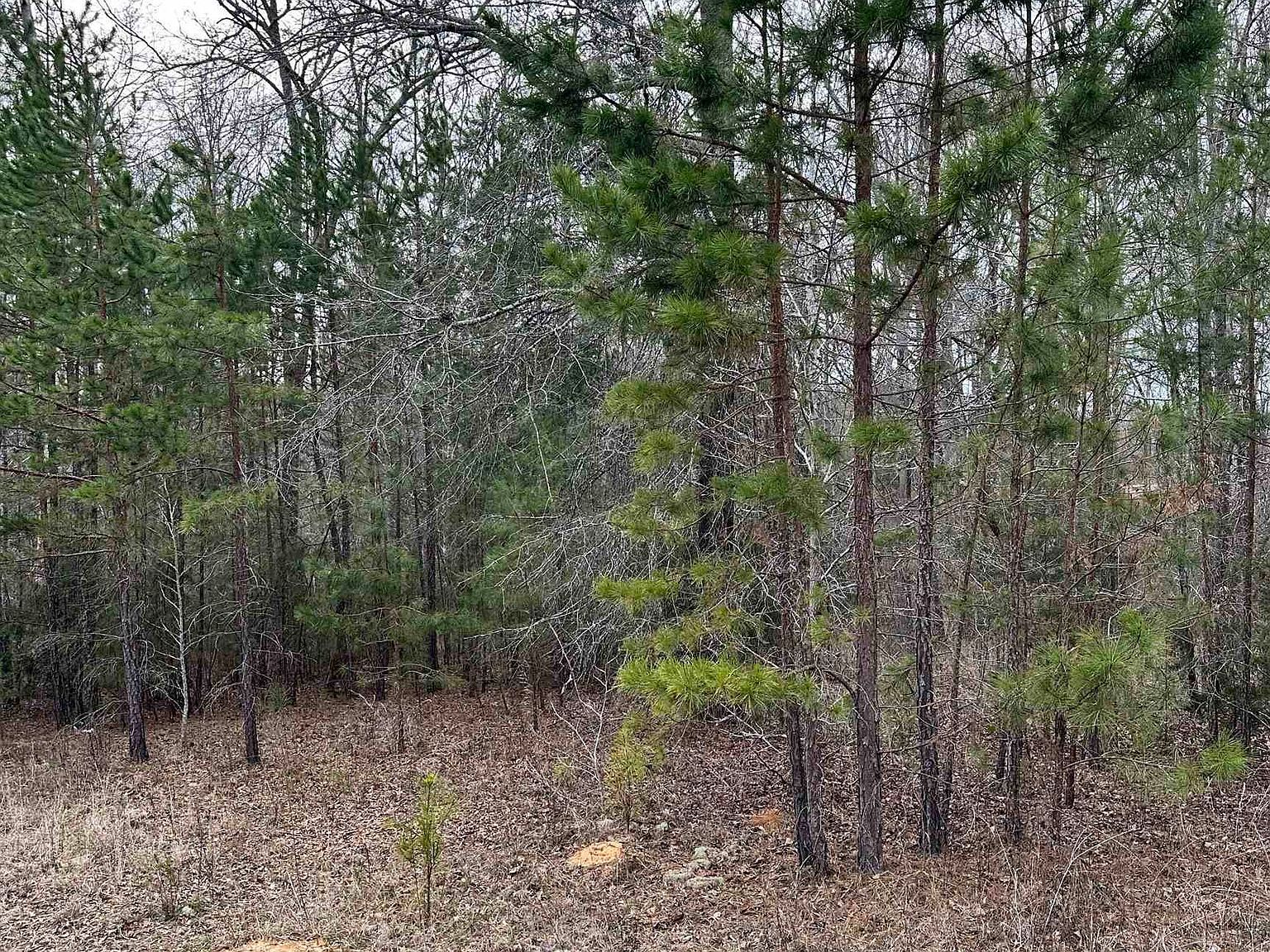 LOT 15 Oconee Springs Rd Eatonton, GA 31024 - Thumbnail 5