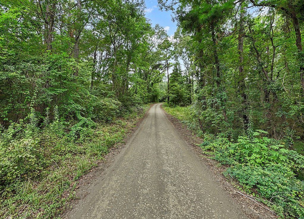 10625 County Road 476 Broaddus, TX 75929 - Thumbnail 5