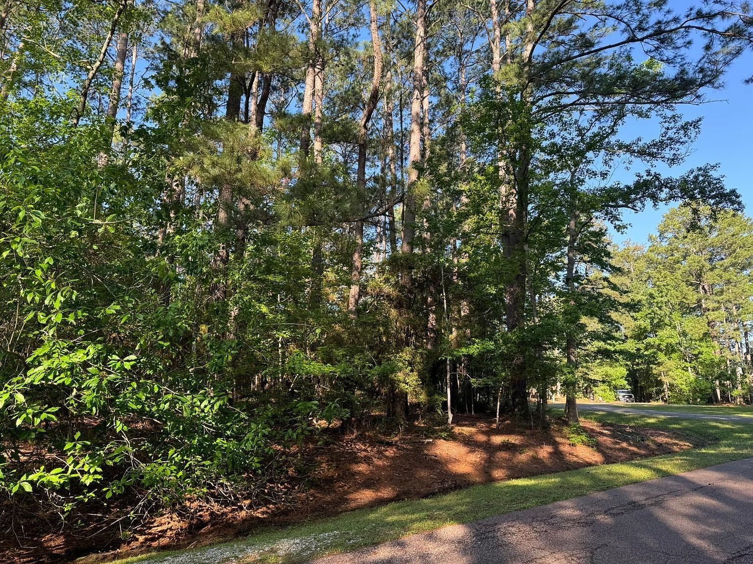 123 S Royale Greens Dr Coldspring, TX 77331 - Thumbnail 5