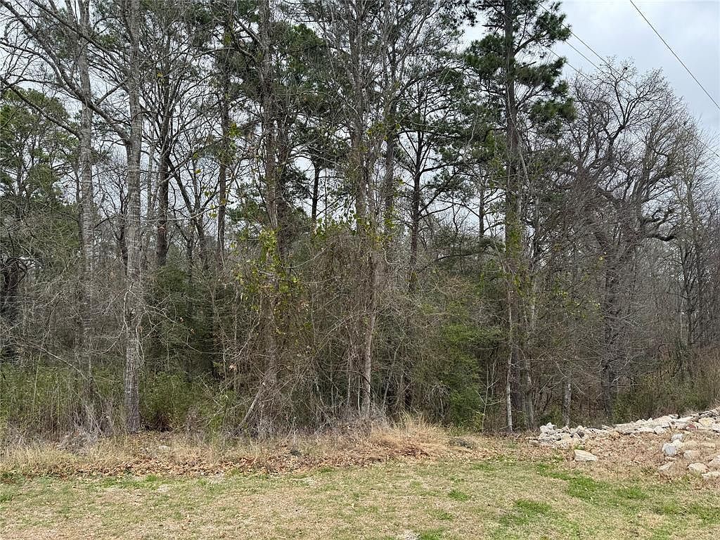 2 Clearwater Cir Coldspring, TX 77331 - Thumbnail 5