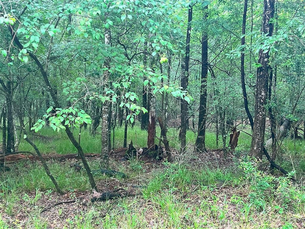 74 S Royale Greens Dr LOT 40 Coldspring, TX 77331 - Thumbnail 5