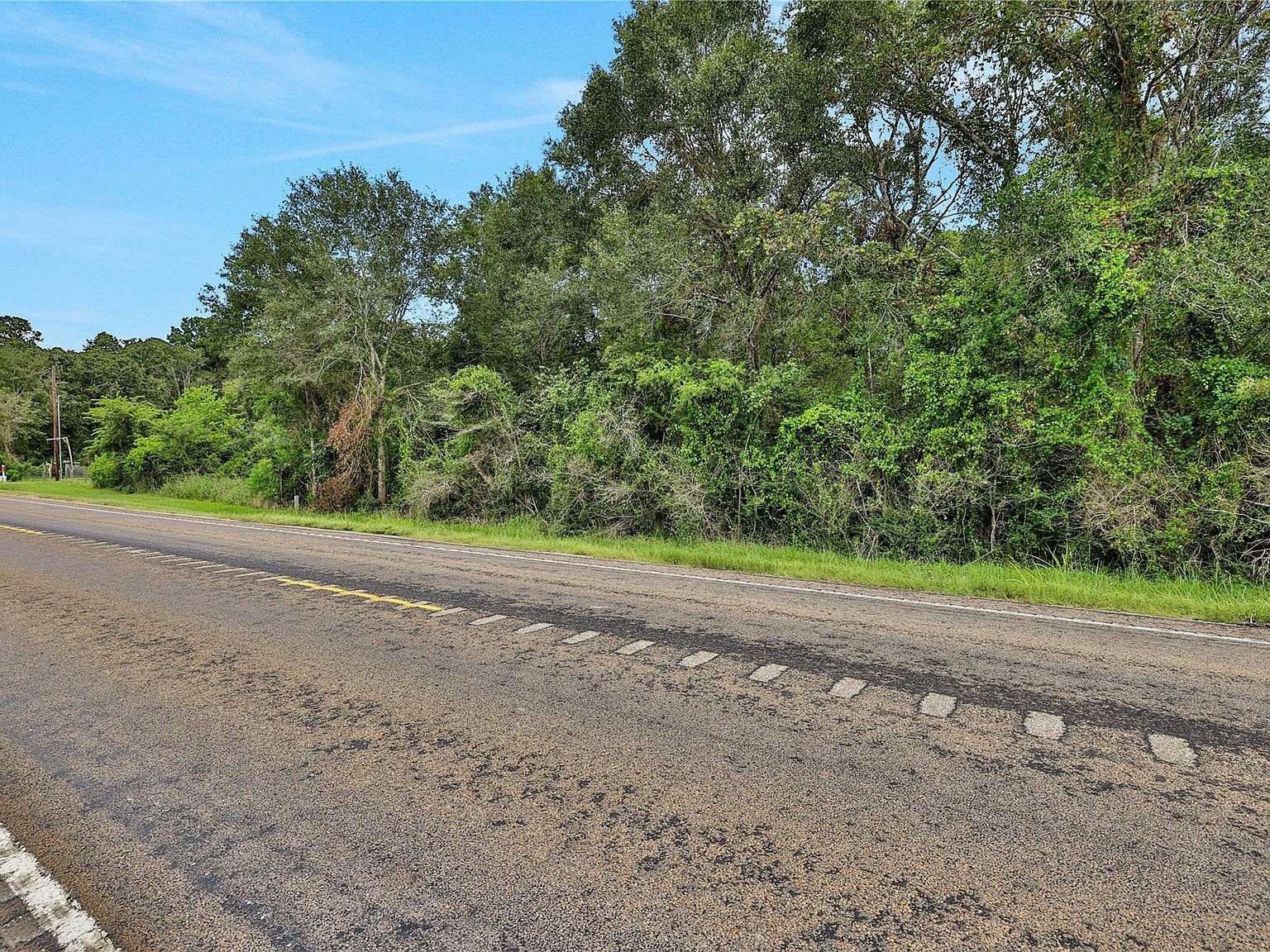 Highway 156 Coldspring, TX 77331 - Thumbnail 5