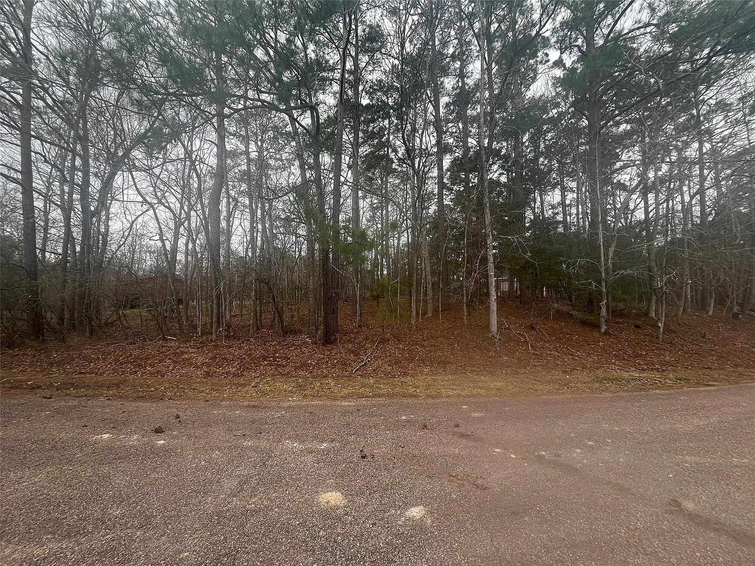 101 S Royale Greens Dr LOT 11 Coldspring, TX 77331 - Thumbnail 5