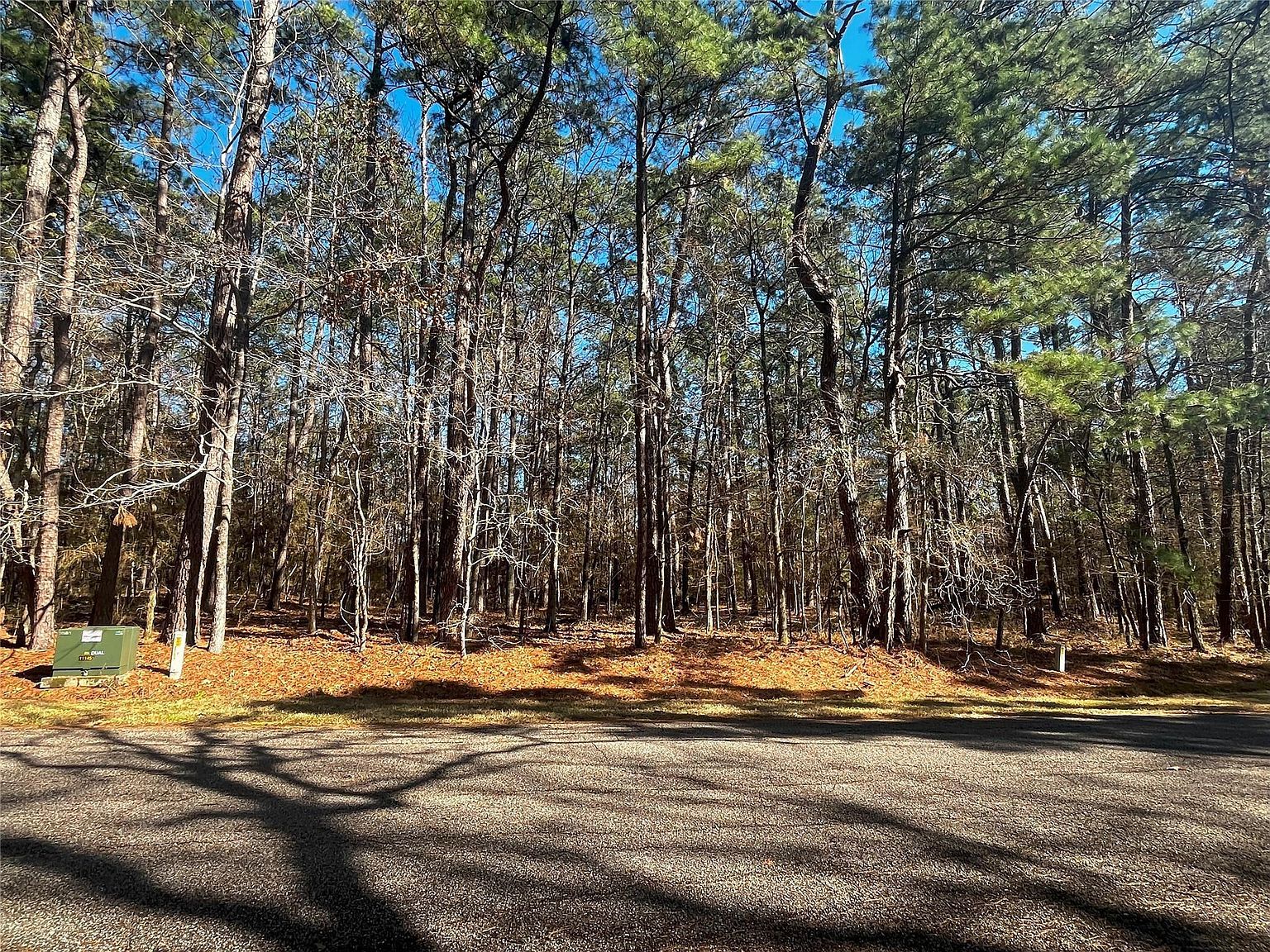 55 Green Tree Dr LOT 13 Coldspring, TX 77331 - Thumbnail 5