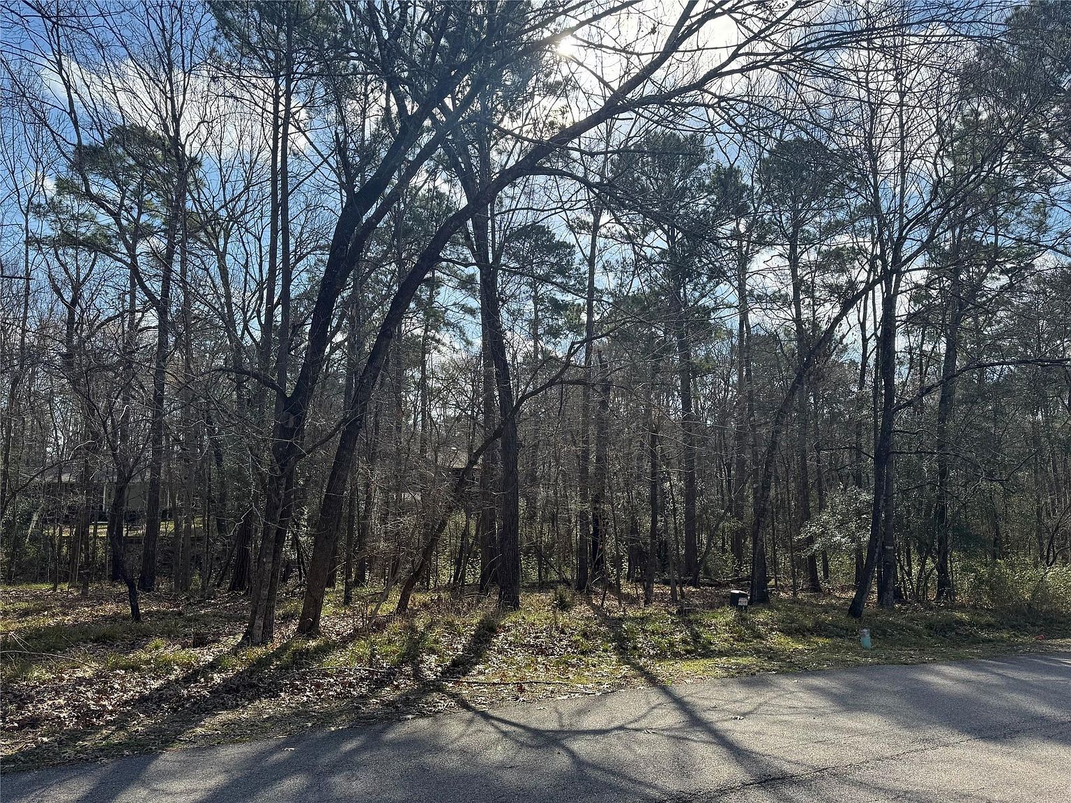 11 & 15 S Pine Harbour Dr Coldspring, TX 77331 - Thumbnail 5