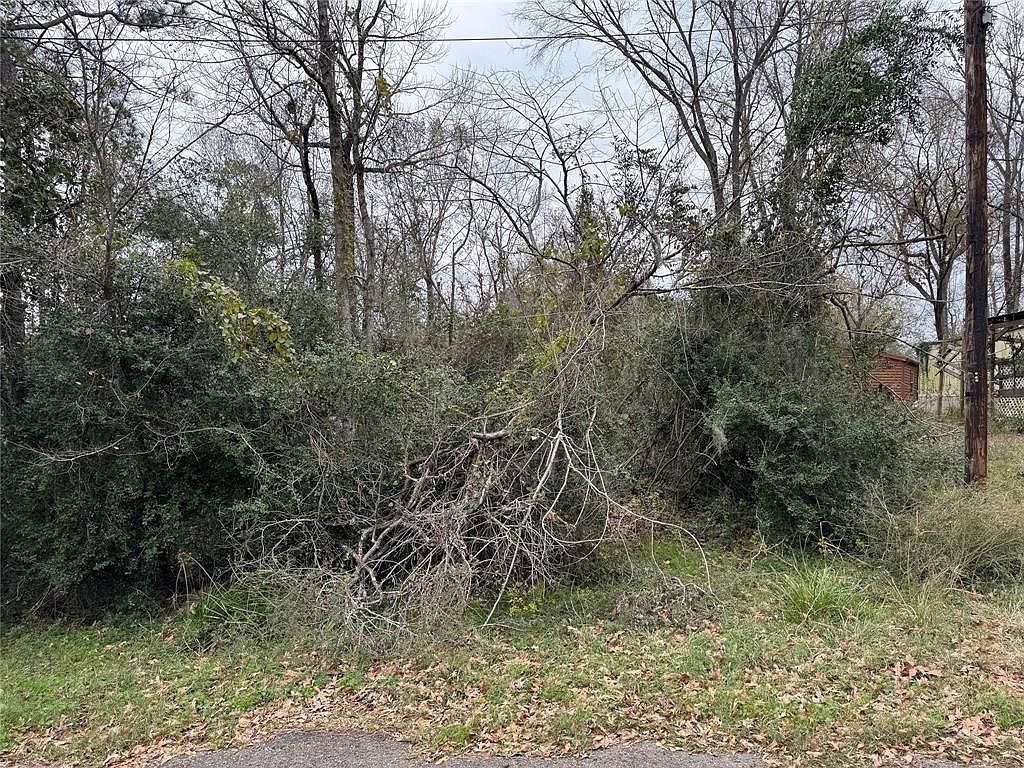 29 & 30 Dove Is Livingston, TX 77351 - Thumbnail 5