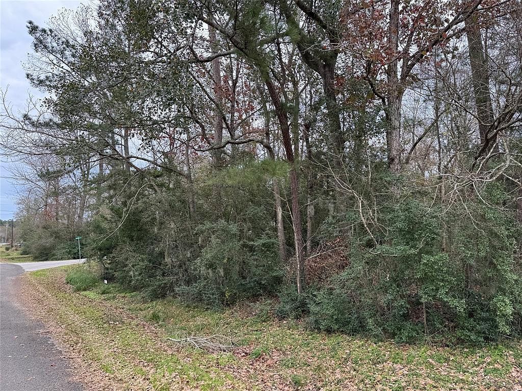 27 & 28 Dove Is Livingston, TX 77351  | Land/Lot