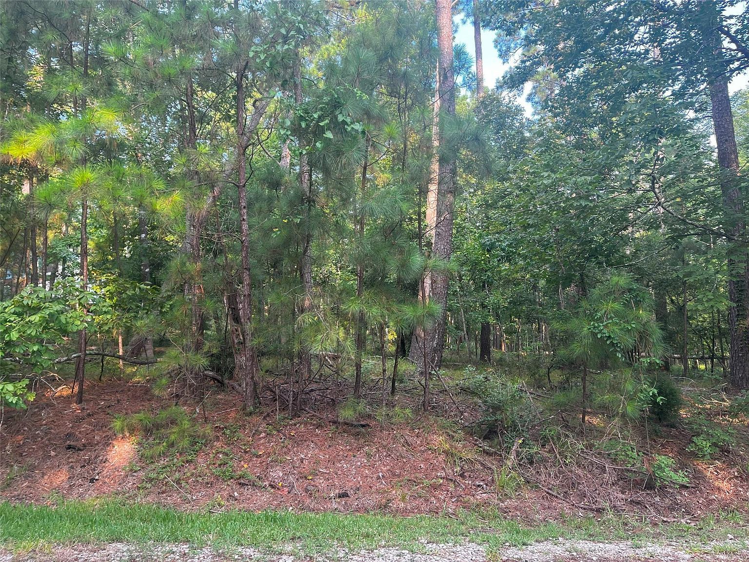 18 S Royale Greens Dr LOT 25 Coldspring, TX 77331 - Thumbnail 5