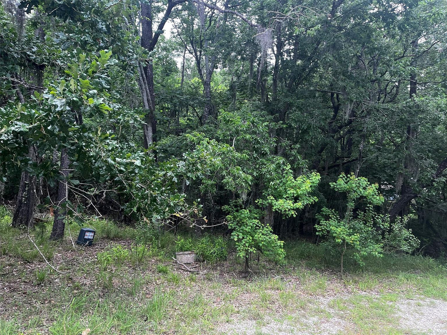 18 Timberon Ln LOT 95 Coldspring, TX 77331 - Thumbnail 5