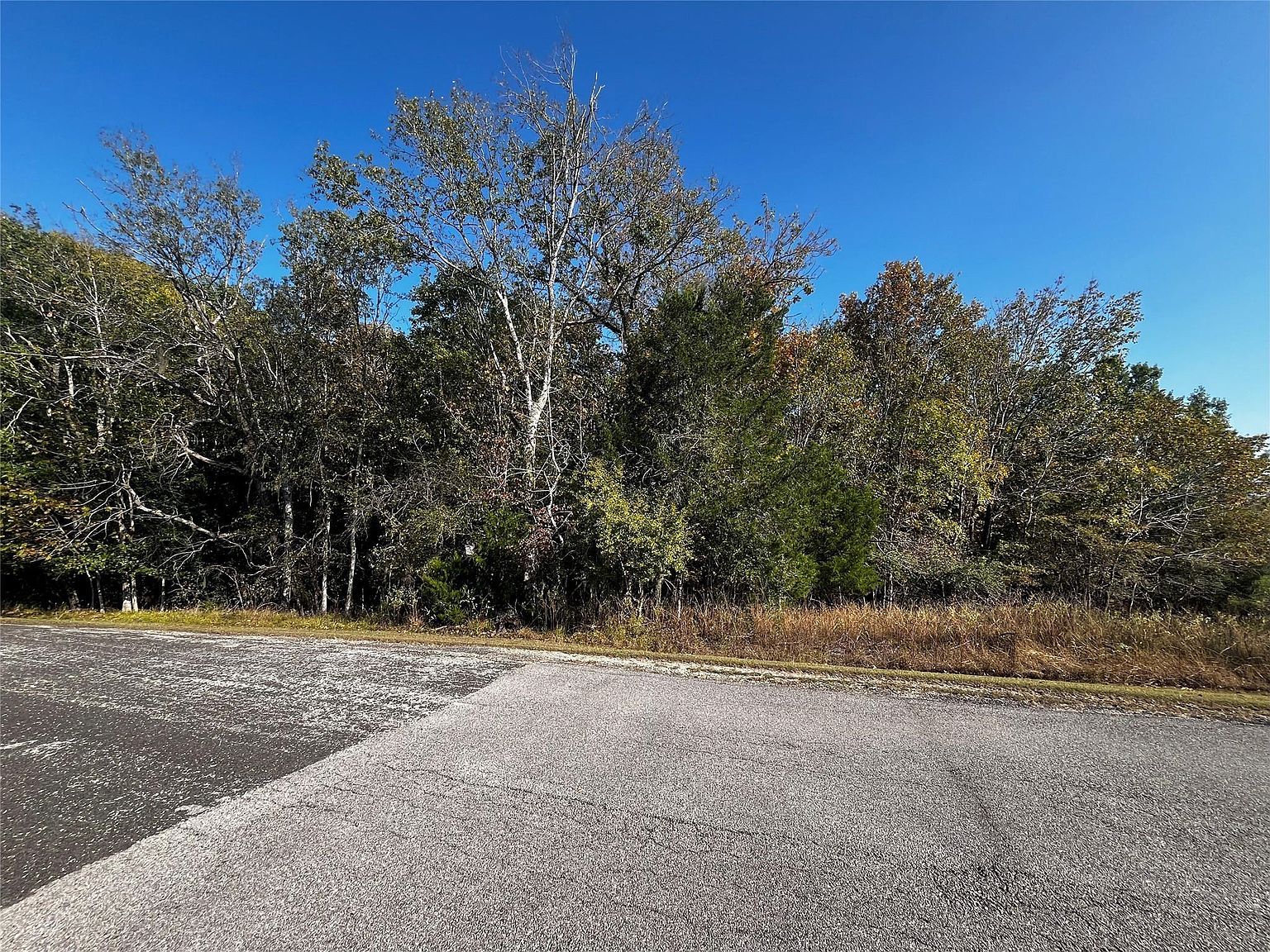 165 N Pine Harbour Dr LOT 85 Coldspring, TX 77331 - Thumbnail 5